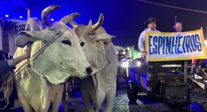 Desfile marca abertura da Festa Nacional do Colono em Itajaí