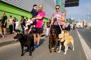 Cãominhada abre inscrições em Blumenau; veja como participar