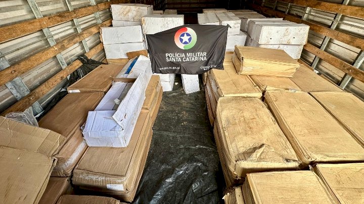 Operação apreende toneladas de camarão e 50 mil maços de cigarro ilegais