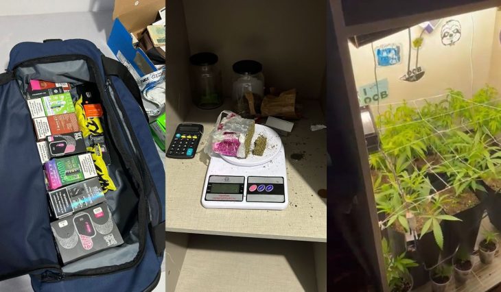 Vídeo: operação combate o tráfico de drogas e cumpre 34 mandados em SC