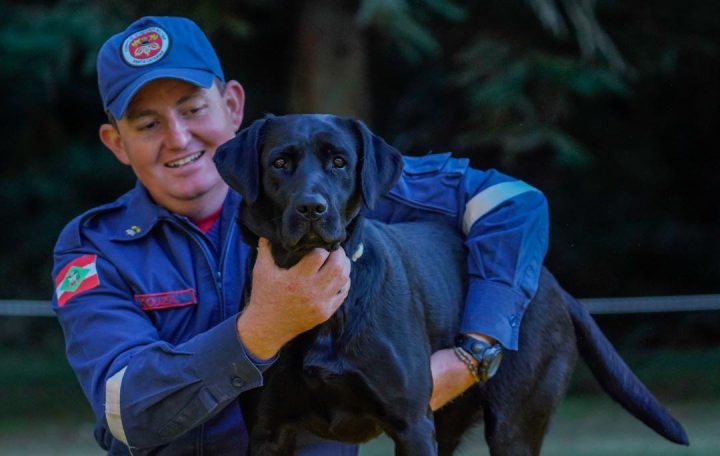 Cadela dos bombeiros de SC que atuou em Brumadinho se aposenta