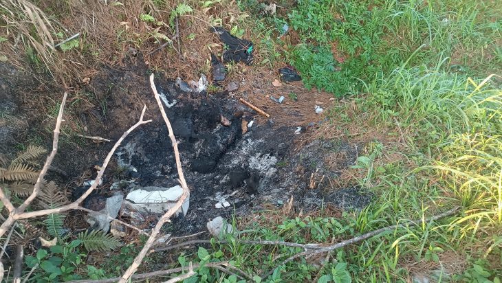 Bombeiros encontram cachorro carbonizado ao apagar incêndio em vegetação
