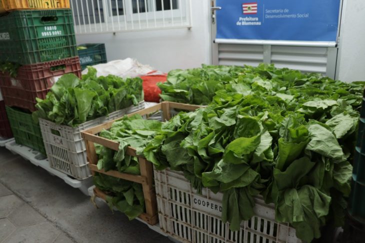 Banco de alimentos: entidades recebem mais de 120 toneladas de frutas, legumes e verduras