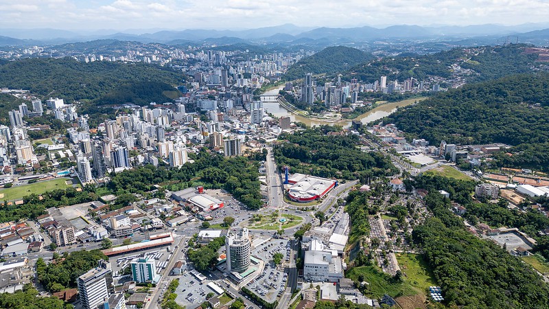 Cidade do Vale inicia mapeamento inédito de atropelamento de animais silvestres