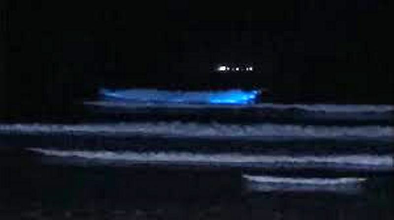 Vídeo: mar neon? Entenda fenômeno que ocorreu em Santa Catarina