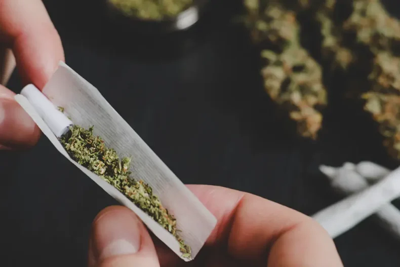 Justiça deve rever prisões por pequenas quantidades de maconha em SC