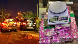 Operação contra o tráfico interestadual de drogas prende 13 pessoas
