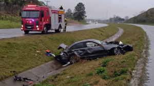 Vídeo: motorista abandona BMW após acidente na BR-470