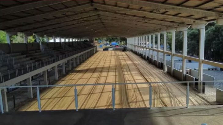 Bebê é pisoteado por boi em rodeio e precisa passar por cirurgia