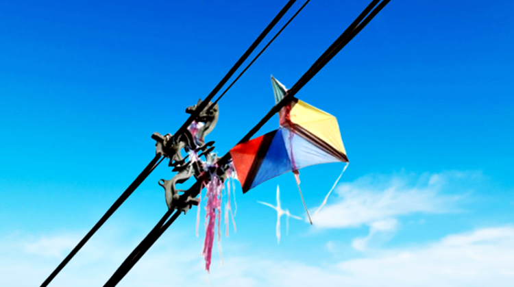 Lei da “Pipa Segura” entra em vigor em Itajaí