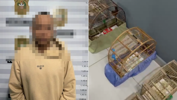Vídeo: jovem é preso após ser flagrado com mais de 30 aves silvestres
