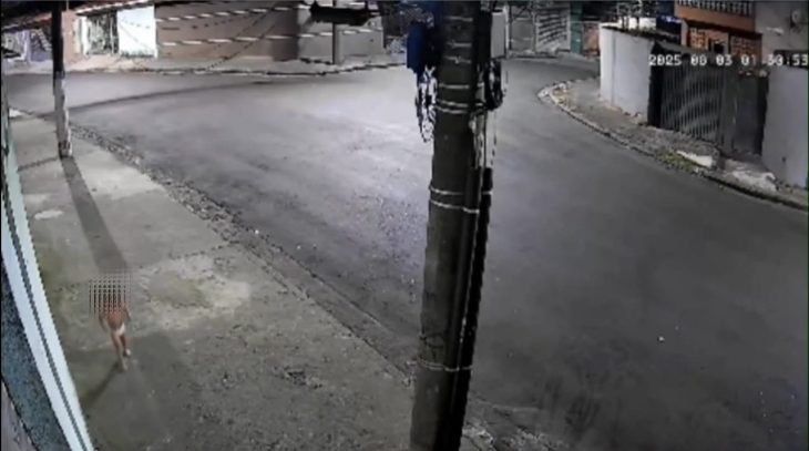 Vídeo: Justiça libera mãe que abandonou filha para ir a baile funk