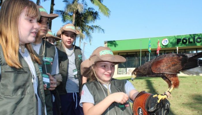 Conheça o projeto de Blumenau finalista estadual do Prêmio ODS