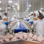 Região Sul é a mais afetada pelo tarifaço e estados correm para mitigar impactos