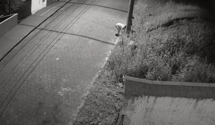 Vídeo: mulheres são investigadas por abandonar cão amarrado em poste