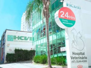 Hospital veterinário nega acusações após dono ser indiciado por maus-tratos