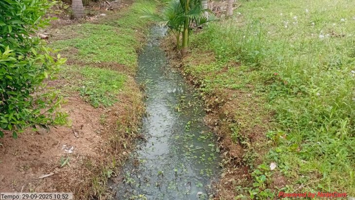 Empresa é multada por despejar esgoto em córrego