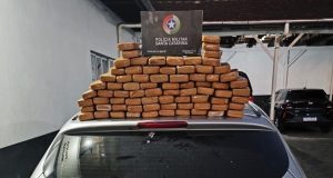 Operação policial apreende 40 quilos de maconha na BR-280