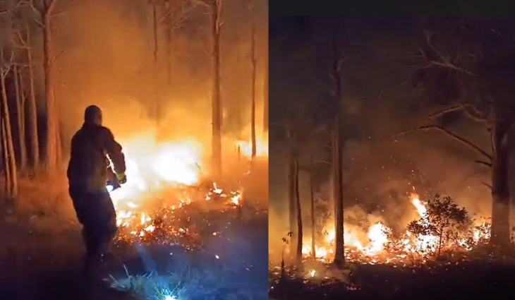 Vídeo: incêndio atinge área de vegetação em SC