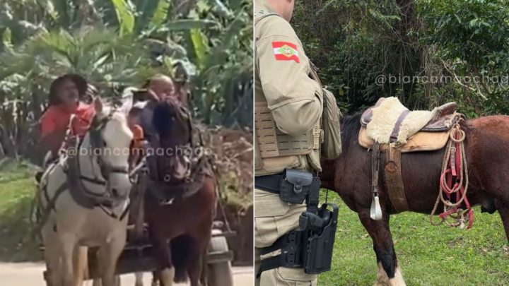 Vídeo: polícia investiga maus-tratos em cavalgada tradicionalista