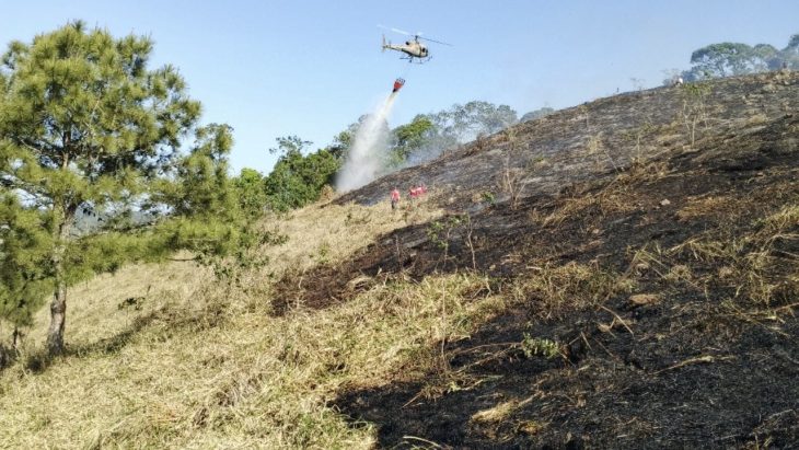 Incêndio destrói área equivalente a cinco campos de futebol
