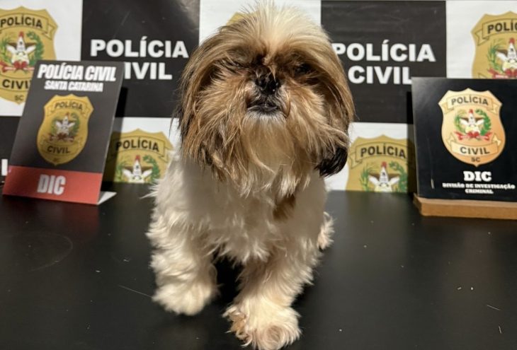Vídeo: cadela furtada é resgatada e entregue à tutora