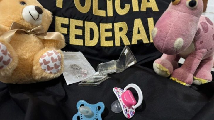 PF prende homem de 50 anos com material de abuso sexual infantil
