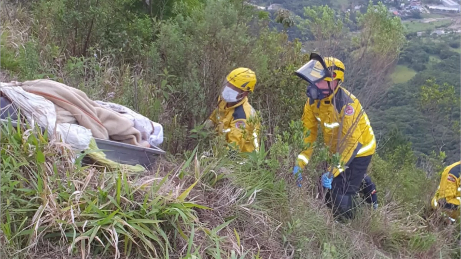 Corpo é encontrado em mata fechada na Grande Florianópolis