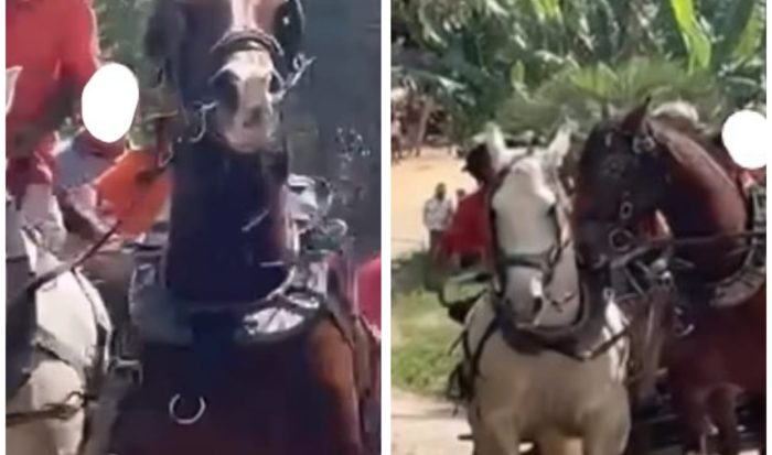 Participantes de cavalgada religiosa são indiciados por maus-tratos
