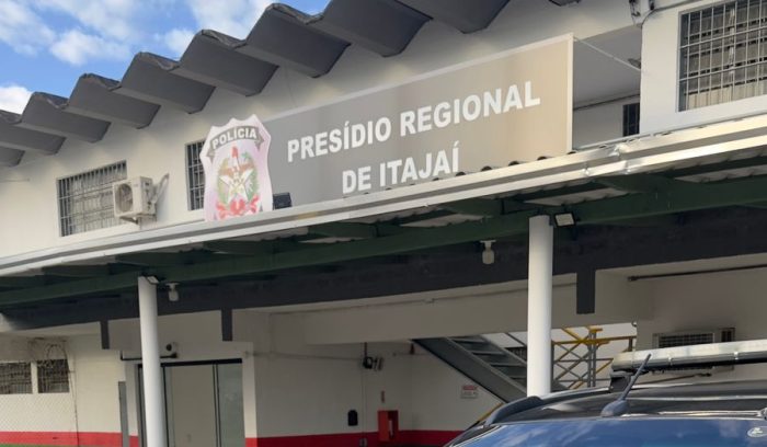 Polícia prende suspeito de furtar 19 ovelhas em Brusque