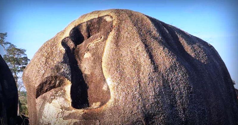 Fato ou fake: o que podem revelar pegadas de tamanho gigante na Amazônia?