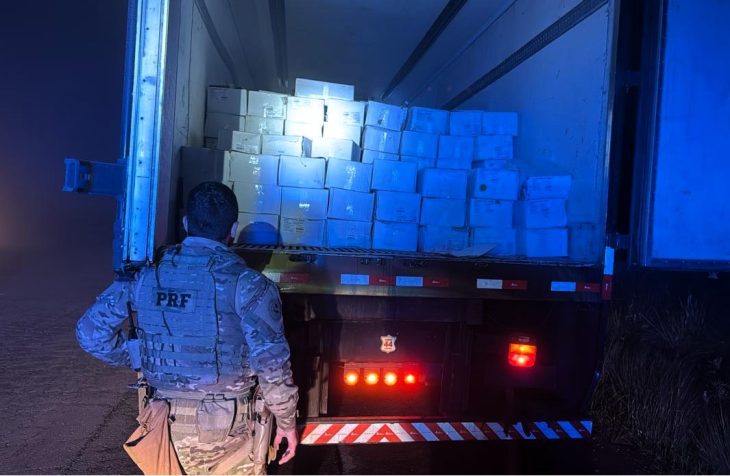 Caminhão com oito toneladas de camarão contrabandeado é apreendido