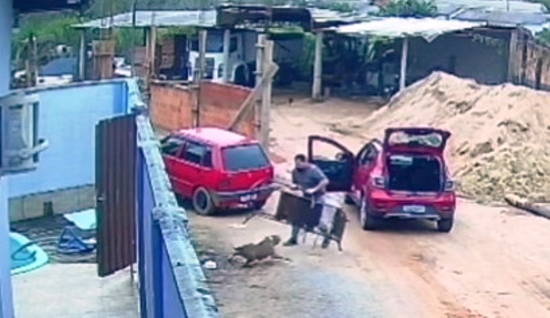 Vídeo: homem sofre ataque de pitbull na Grande Florianópolis