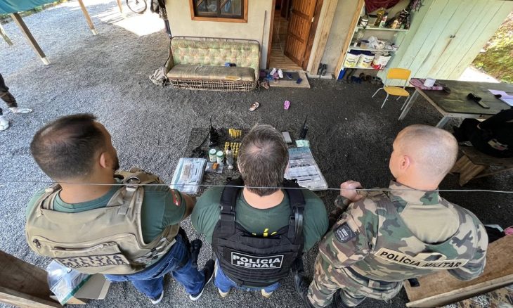 Rede de caça ilegal é alvo de megaoperação em nove cidades de SC
