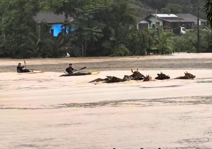Imagens aéreas revelam Luiz Alves submersa após temporal em SC
