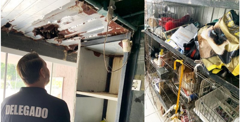 Após denúncias, Polícia interdita pet shop por falta de higiene