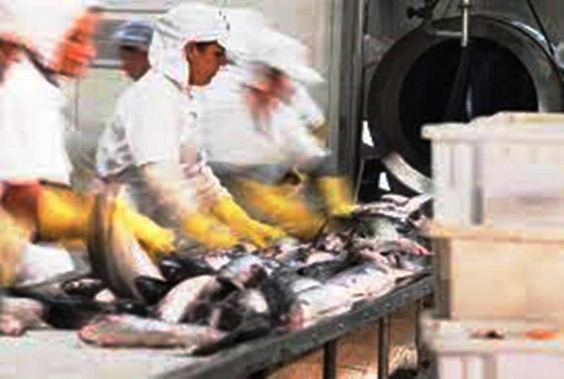 SC gera 11,4 mil empregos em setembro, mas indústria sente impacto de tarifaço