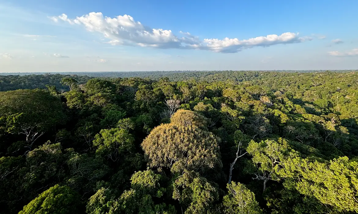 COP30 na Amazônia: por que o mundo vai se encontrar em Belém