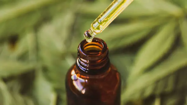 Univali é habilitada para realizar análises de produtos à base de cannabis