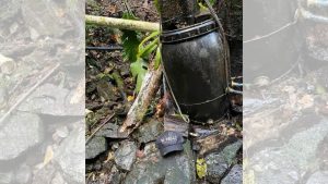 Tronco atinge homem na cabeça e causa paralisia nas pernas