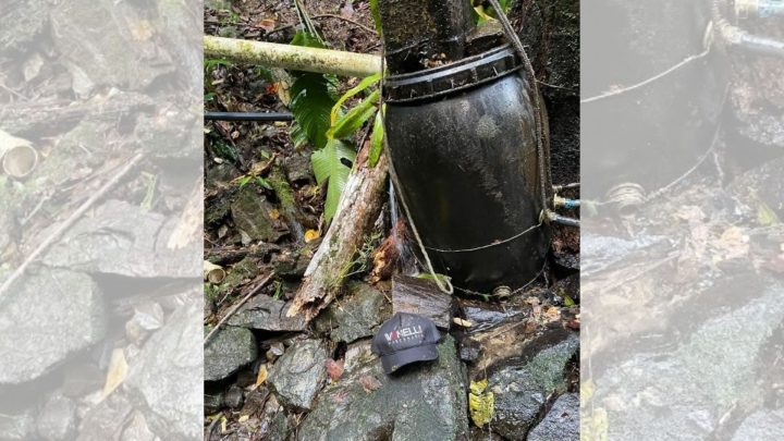 Tronco atinge homem na cabeça e causa paralisia nas pernas