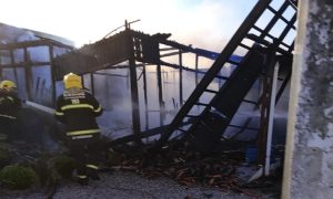 Incêndio destrói residência de madeira; animais são resgatados