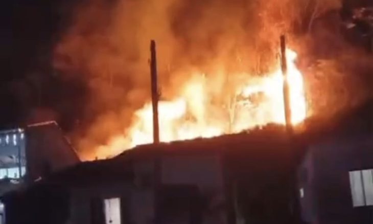 Incêndio de grandes proporções em mata deixa mulher ferida