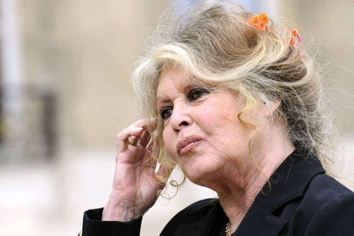 Brigitte Bardot, ícone do cinema, morre aos 91 anos
