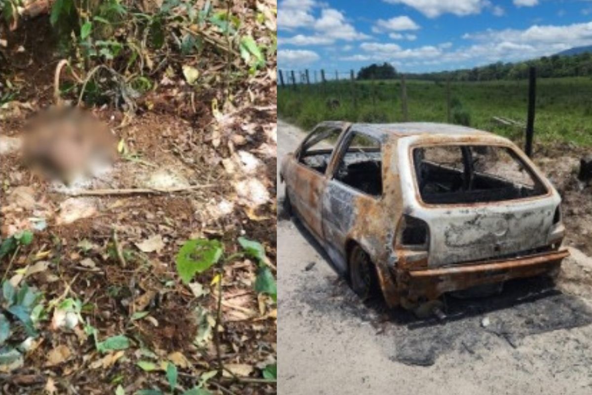 Corpo enterrado e em decomposição é encontrado em área de mata em Joinville