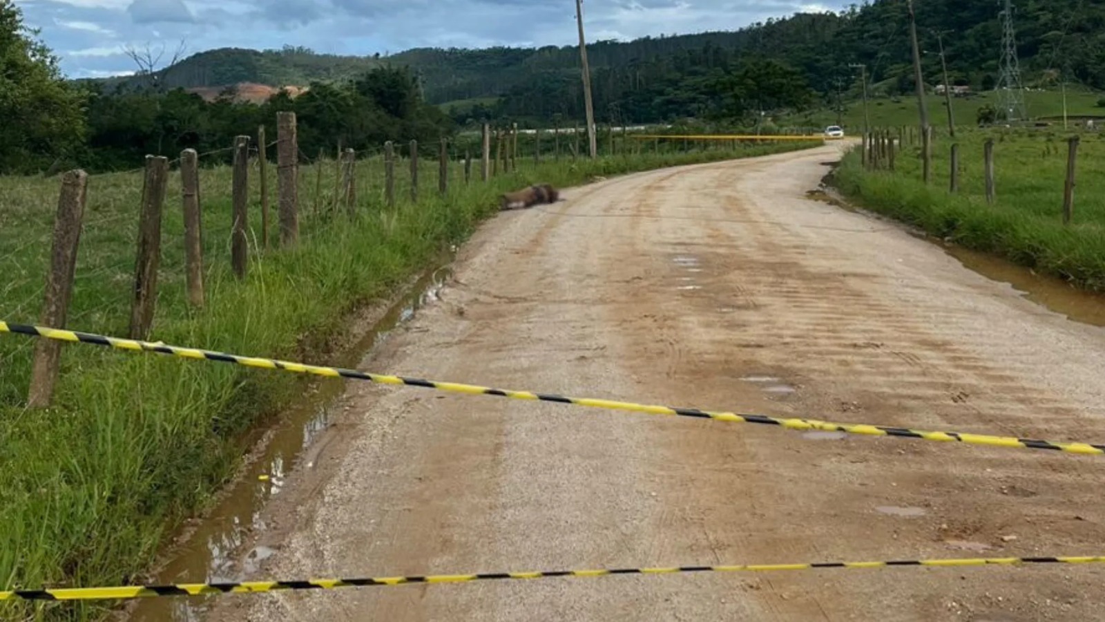 Criança leva choque ao passar sob fio caído em SC, cavalo morre