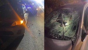 Atropelamento na BR-470 deixa vítima em estado grave