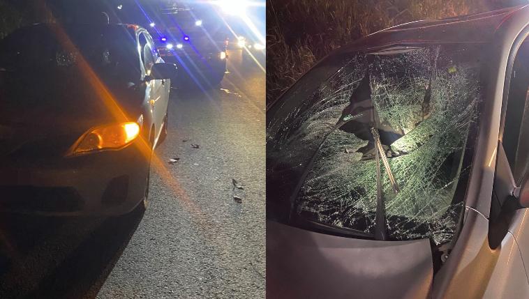 Atropelamento na BR-470 deixa vítima em estado grave