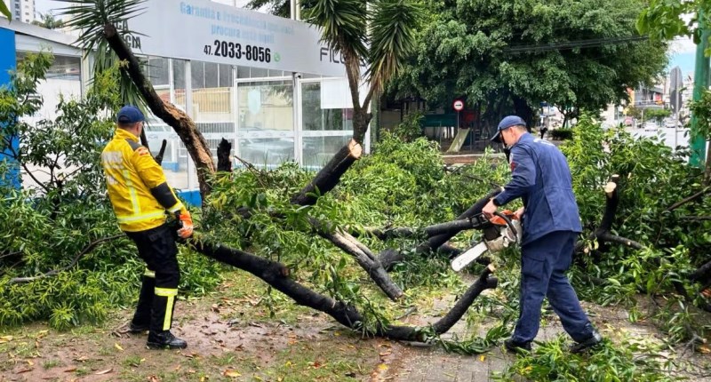 Chuva volta a causar estragos em várias regiões de Santa Catarina
