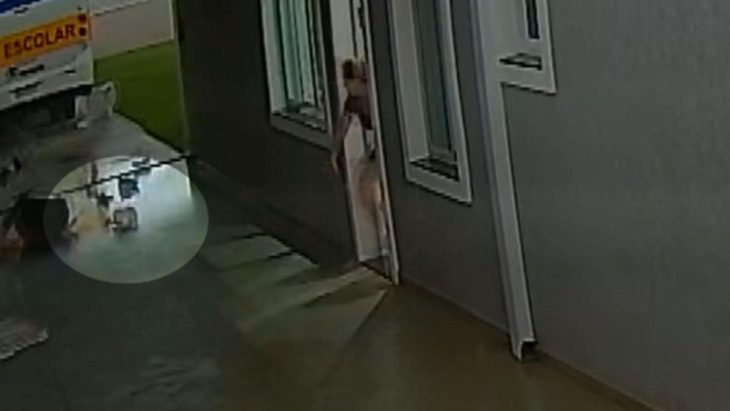 Imagens impressionantes mostram cachorro sendo levado pelo vento em tornado no Paraná
